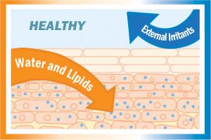 jaka kožna barijera