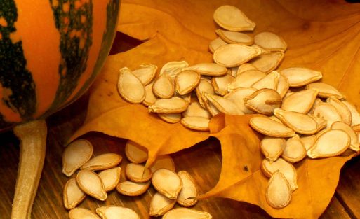 magnezij, bučna semena